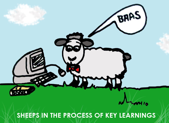 Sheeps in the process of Key Learnings. N.Hayter 2010. Sheeps in the process of Key Learnings. N.Hayter 2010.