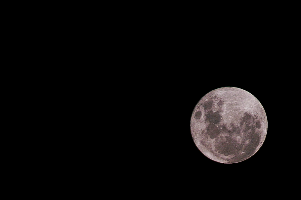 Sydney Full Moon Perigee. 18 April 2011. N.Hayter 2011. Sydney Full Moon Perigee. 18 April 2011. N.Hayter 2011.